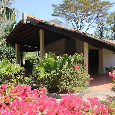 Posada San Miguel Paraguari Dış mekan fotoğraf